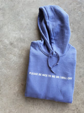 Load image into Gallery viewer, BE NICE TO ME HOODIE